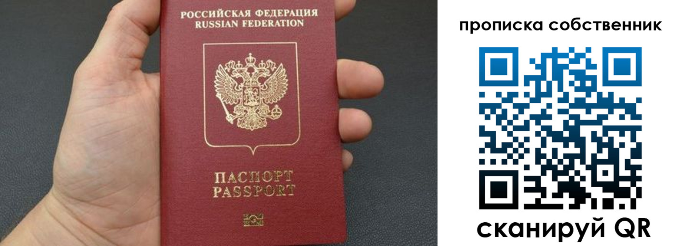 прописка паспорт в Гороховце